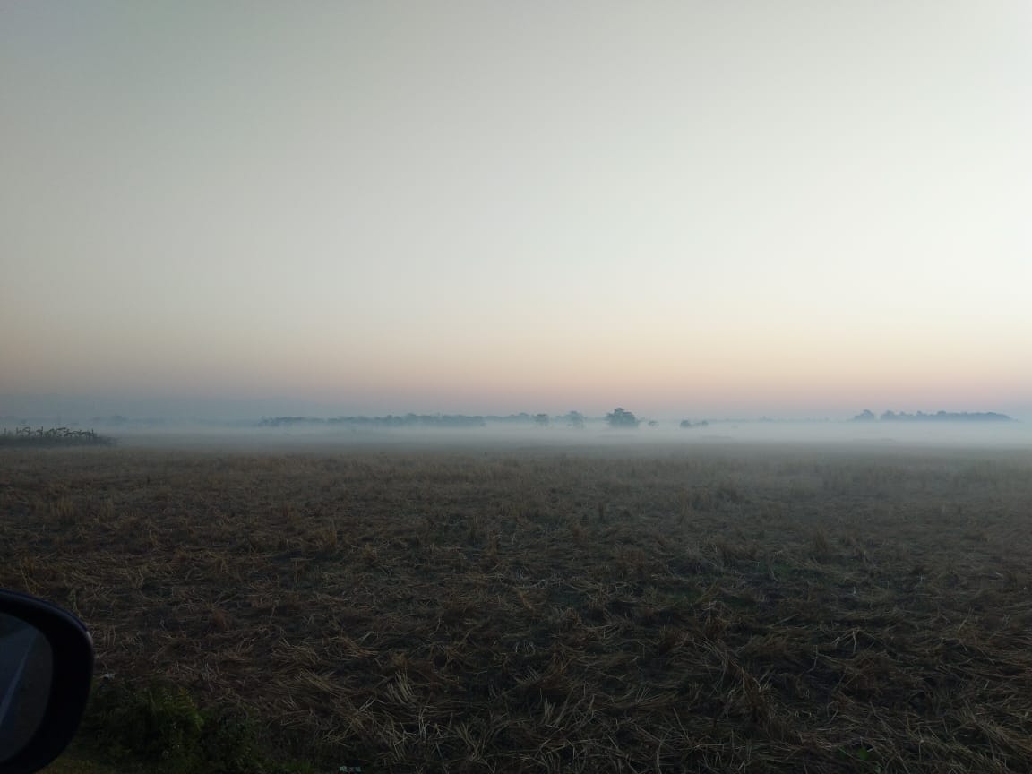 early morninig fog manas national park