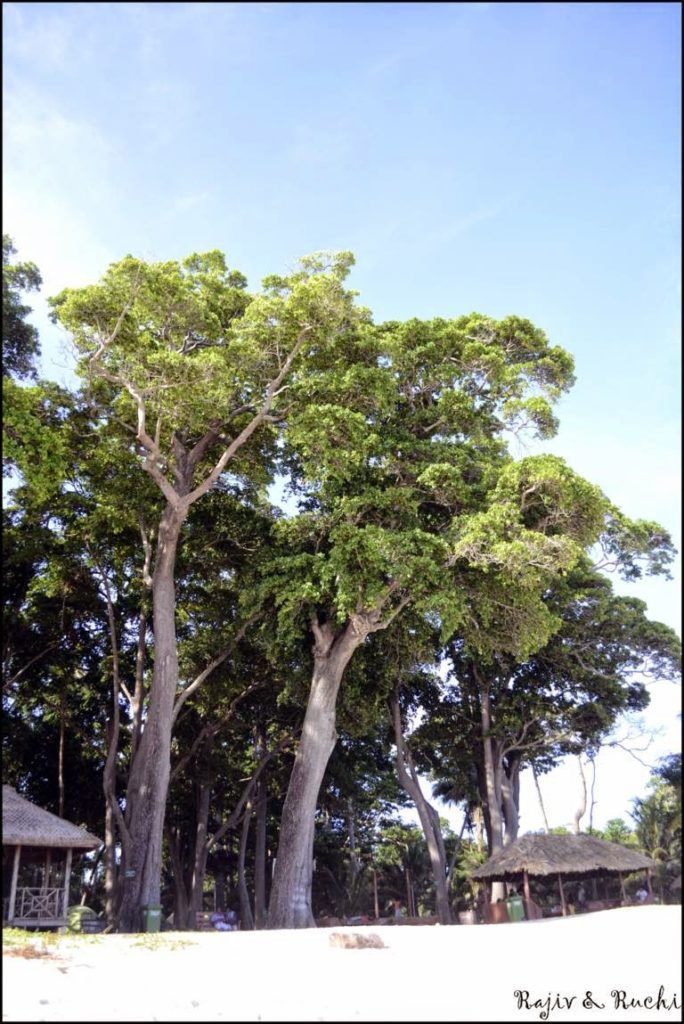 Radhanagar Beach, Havelock Island