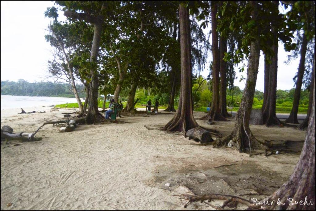  wandoor beach andaman