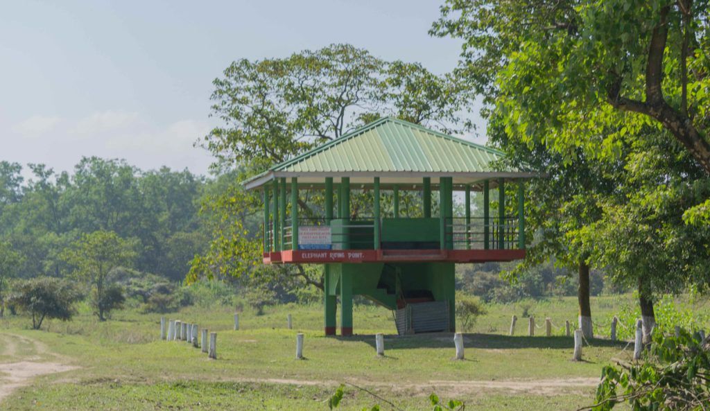 Elephant Boarding Point - Pobitora Wildlife Sanctuary