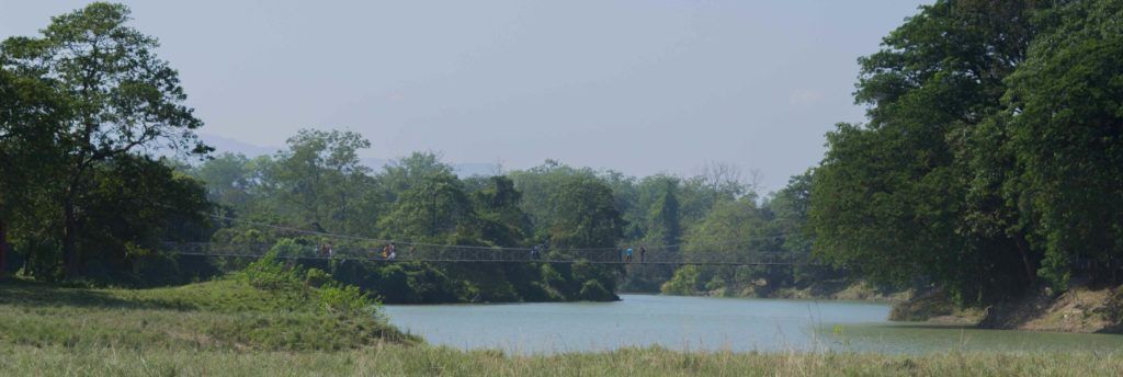 Lake inside the Pobitora Wildlife Sanctuary