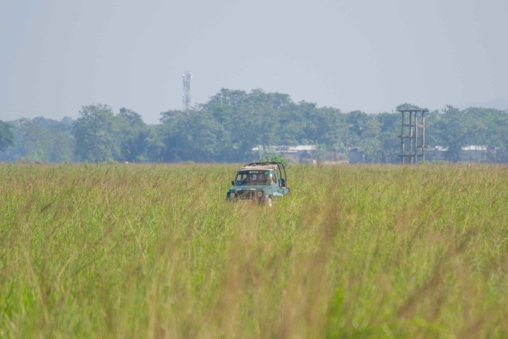 Pobitora Wildlife Sanctuary jeep safary timing