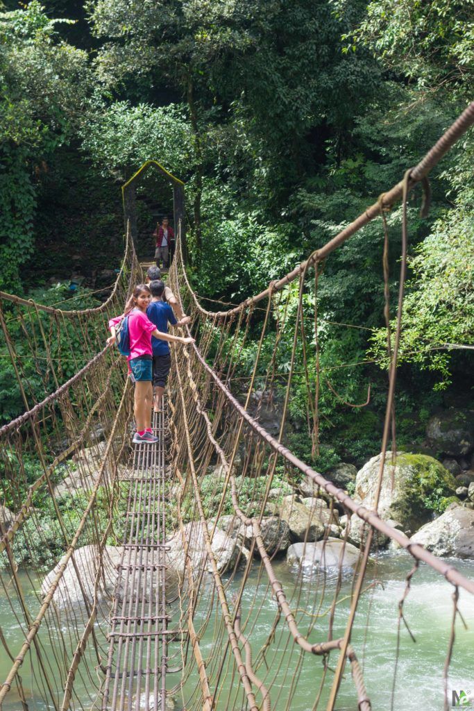 hanging bridge living root bridge trek