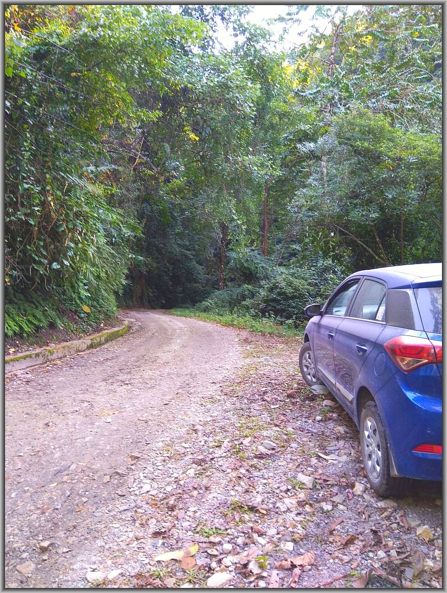 self drive to manas national park