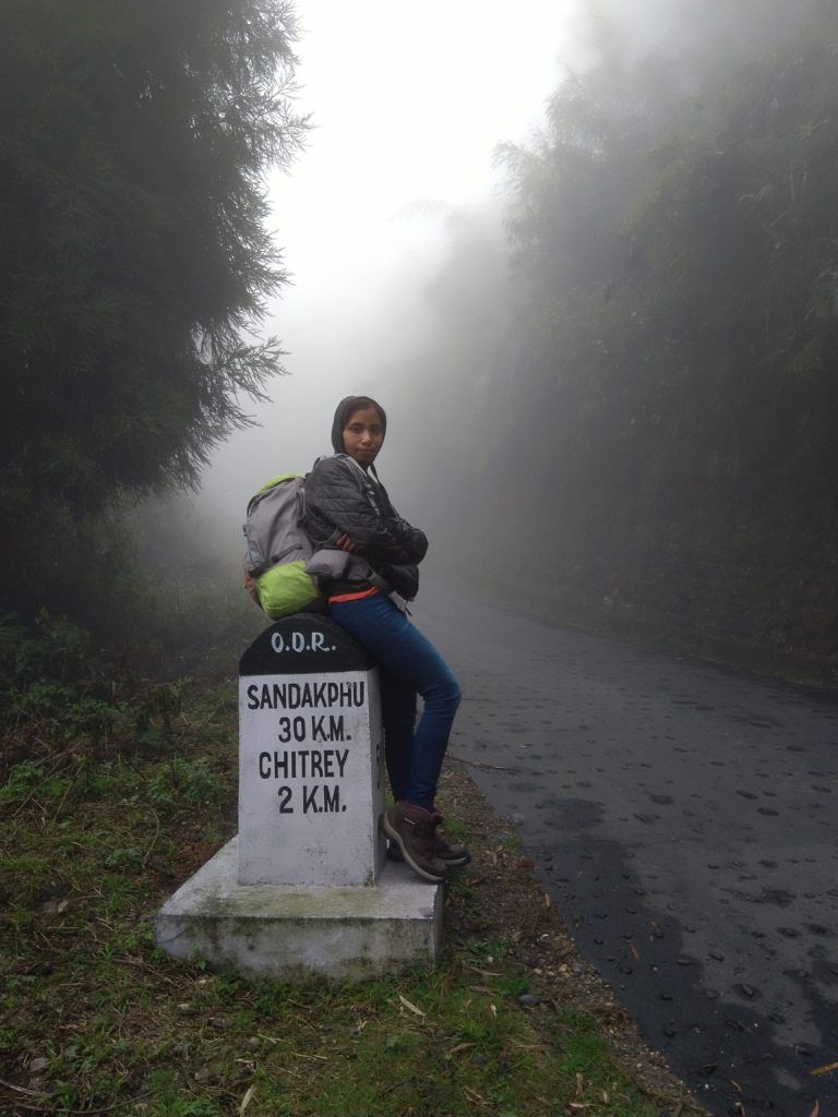 Rhododendron Trek To Sandakphu