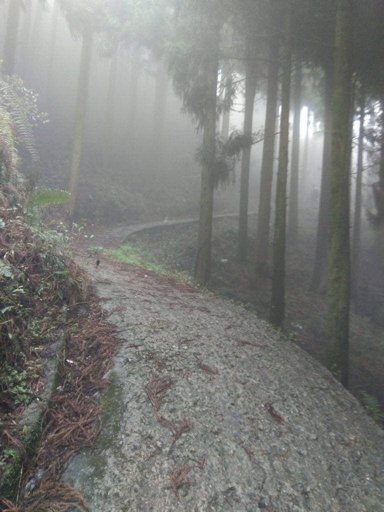 india nepal border maneybhanjang