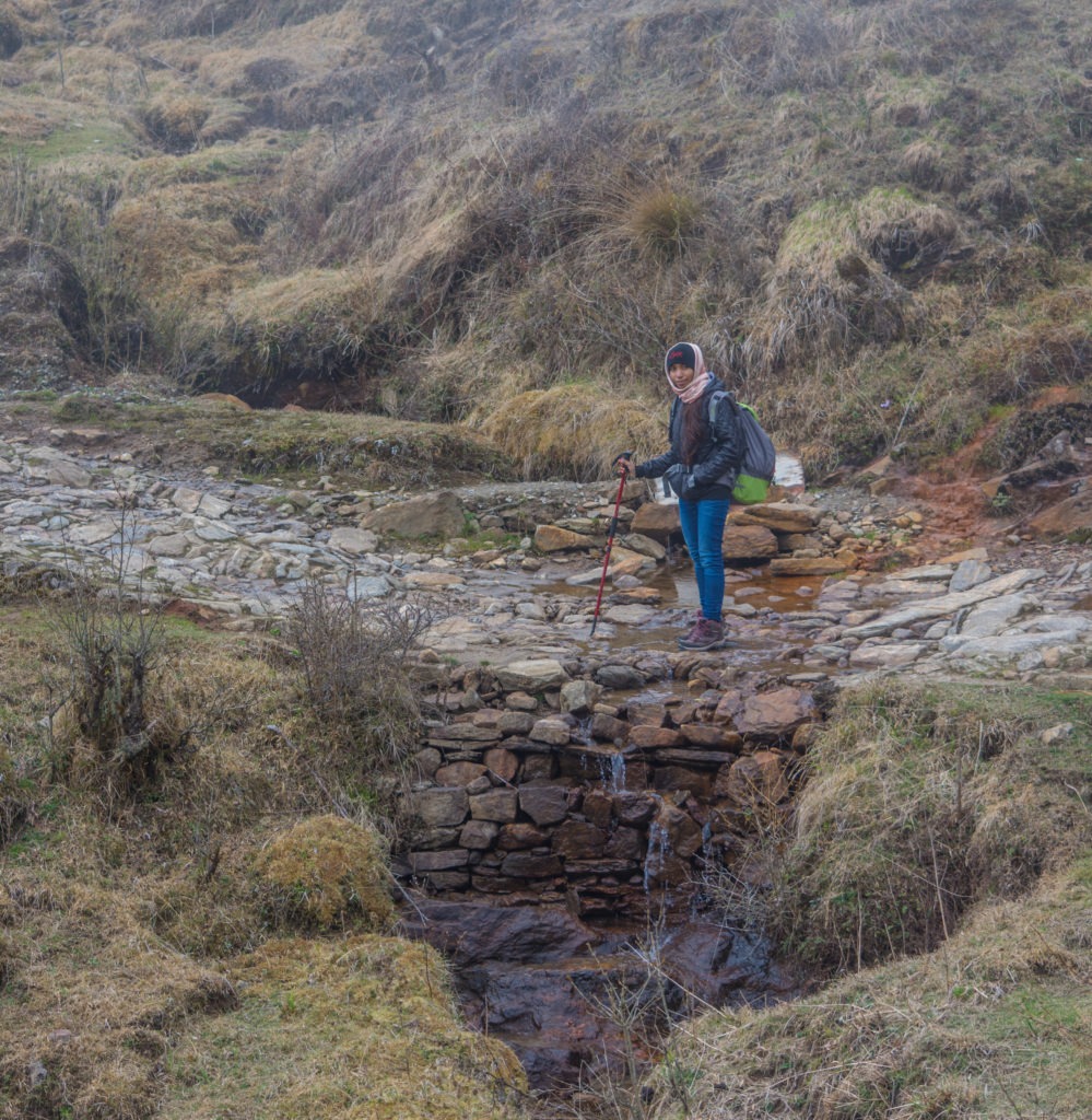 Sandakphu Trek trail